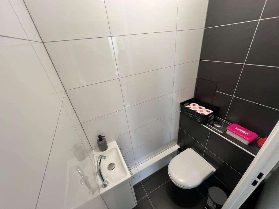 Cerf Berr Apartment Strasbourg Luaran gambar